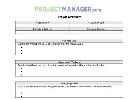 Project Overview Template - ProjectManager.com