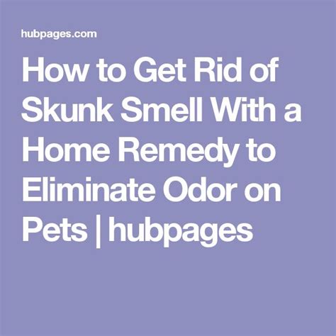 How to Get Rid of Skunk Smell With a Home Remedy to Eliminate Odor on ...