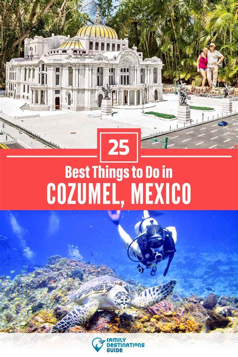 25 Best Things to Do in Cozumel, Mexico (for 2024)