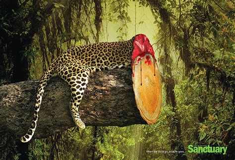 Shocking Effects Of Deforestation Exposed In Brutal Print Ads