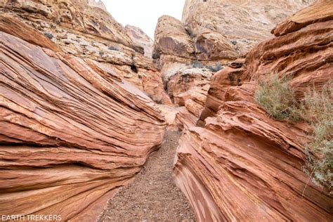 Little Wild Horse Canyon – Bell Canyon Loop: A Step-By-Step Guide – Earth Trekkers