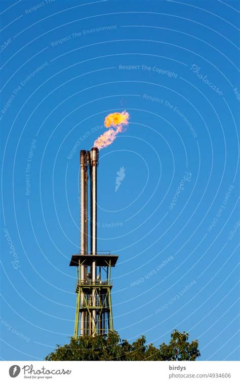 Gas flaring. Gas is flared in an industrial flare - a Royalty Free ...