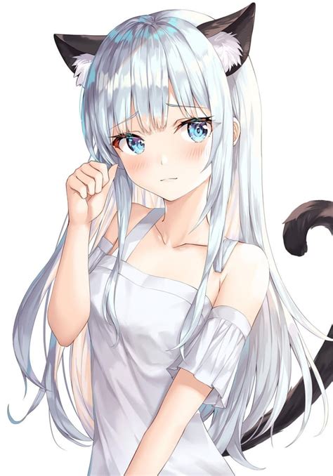 Cat With White Hair Anime Girl