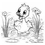 Yellow Duck Coloring Pages  Free & Printable sketch template