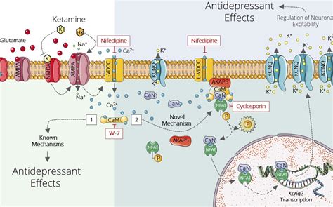 How Ketamine is Used as an Antidepressant in Philadelphia PA