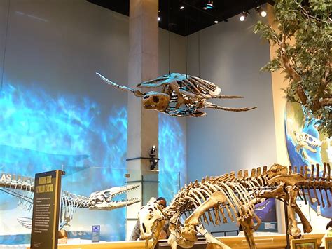 Perot Museum of Nature and Science in Dallas, USA | Sygic Travel