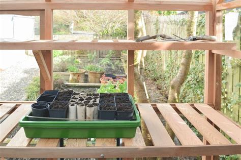 10 clever ways to organise a greenhouse in 2020 | Diy greenhouse shelves, Pallet greenhouse ...