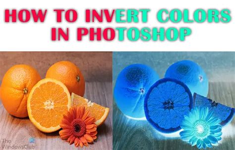 How to Invert Colors in Photoshop - TrendRadars