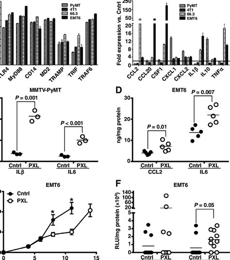 Syngeneic breast cancer mouse models overexpress TLR4 and react to... | Download Scientific Diagram