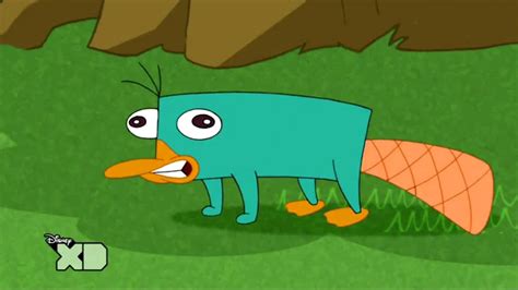 Perry The Platypus Wallpaper (54+ images)