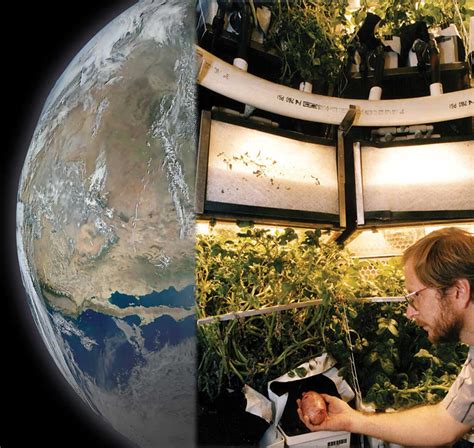 NASA Plant Research Offers a Breath of Fresh Air