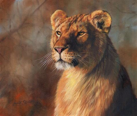 Lioness art - homepagepikol