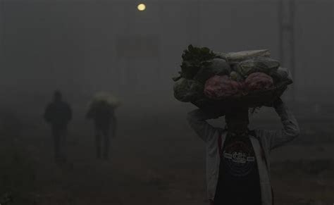 Delhi Hit By Cold Wave, Fog On Roads, Trains Running Late