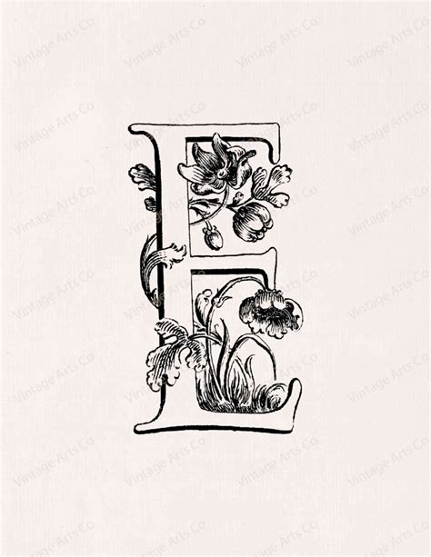 Vintage Decorative Letter E With Flowers 8.5x11 Digital Download Clip ...