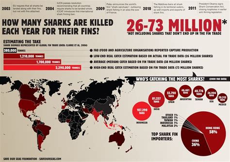 How many sharks are caught each year? - Save Our Seas Foundation