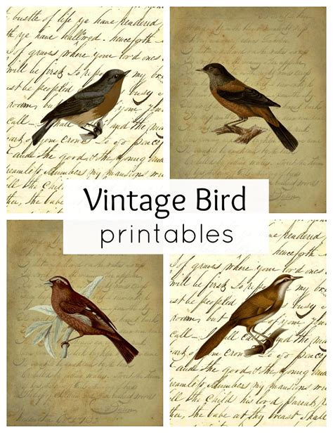 Free Vintage Bird Printables - Printable Word Searches