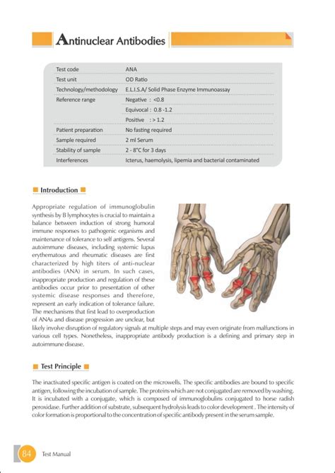 Anti Nuclear Antibodies (ANA) Test Price Rs.750