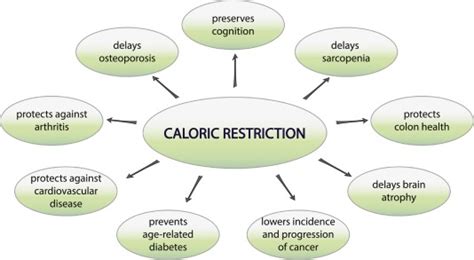 Caloric Restriction - My personal health