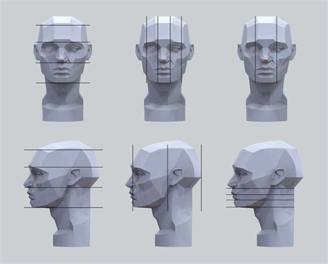 ArtStation - Planes of the Head - Study Notes, Gusztav Velicsek | Planes of the face, Human ...