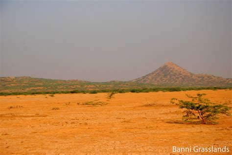 Banni Grasslands – Manthan Prakashan