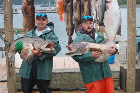 Fantastic Kodiak Island Ling Cod Fishing at Larsen bay | Luxury Alaska ...