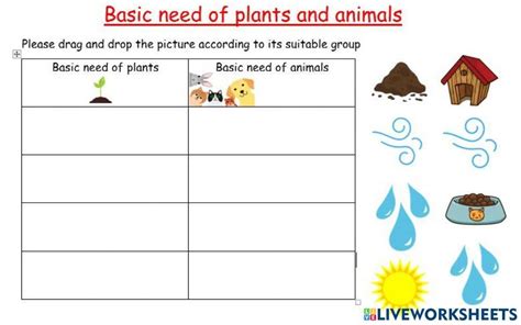 Free basic needs of animals worksheet, Download Free basic needs of ...