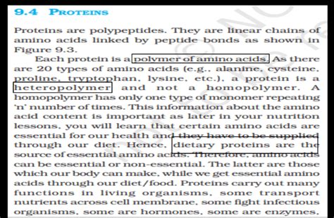 Proteins: Structure, Types, and Functions