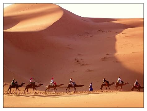 Desert Safaris in Egypt ~ Leisure Travel Egypt