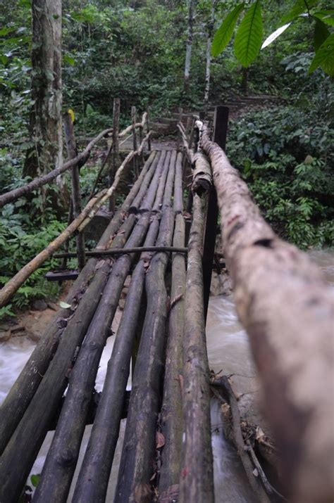 Tad Thong Waterfall, Luang Prabang Travel Tip • EXPLORE LAOS