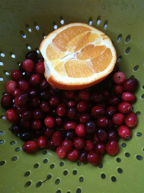 Orange Ginger Cranberry Relish-Sugar Free - CJ Johnson Global