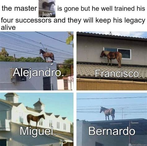 Juan Horse Memes - MemeZila.com