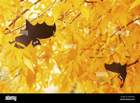 Paper bats hanging on a tree. Halloween concept Stock Photo - Alamy