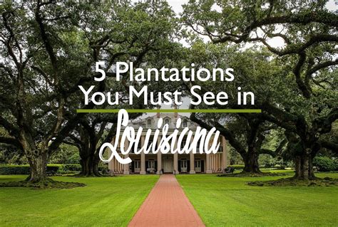 5 Best Plantations in Louisiana: New Orleans, the River Road and Beyond — Cosmos Mariners ...