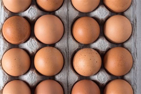 Brown Organic Eggs in a Carton Stock Photo - Image of baking, envelope ...