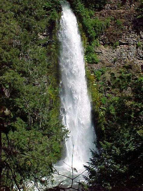 Mill Creek Falls - Oregon | Mill Creek Falls is located just… | Flickr