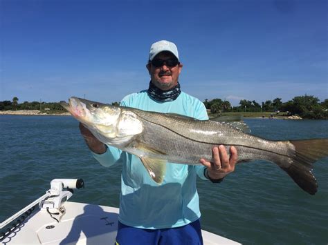 Fishing Report - September Snook Season at Sebastian Inlet