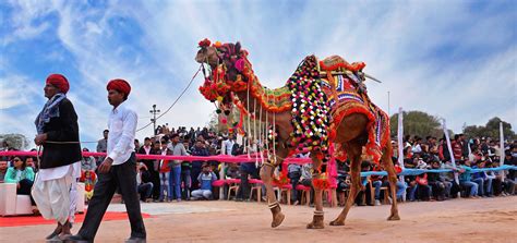 Raisar Village Desert Camp Bikaner, Raisar Sand Dunes