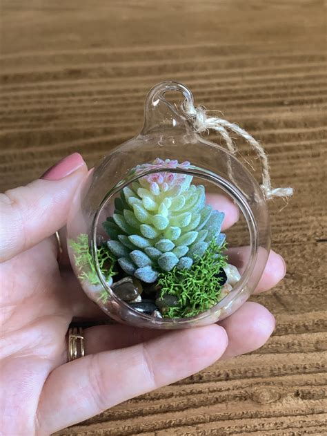 DIY: Faux Succulent Mini Hanging Terrariums — Blog — Design Confetti