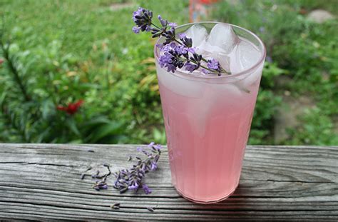 Receta de Limonada de Lavanda en Vegrecetas