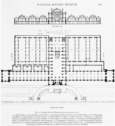 Natural History Museum London Floor Plan - floorplans.click