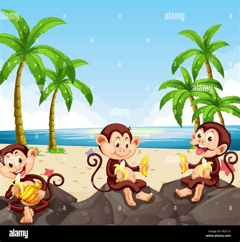 Monkey eating banana at the beach illustration Stock Vector Image & Art - Alamy