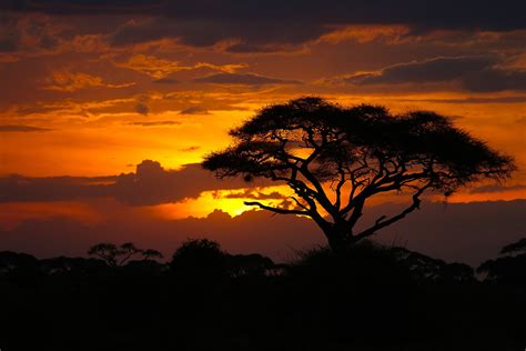 African Safari, Wildlife Photography, Landscape Photo Print, Nature Wall Art, Amboseli National ...