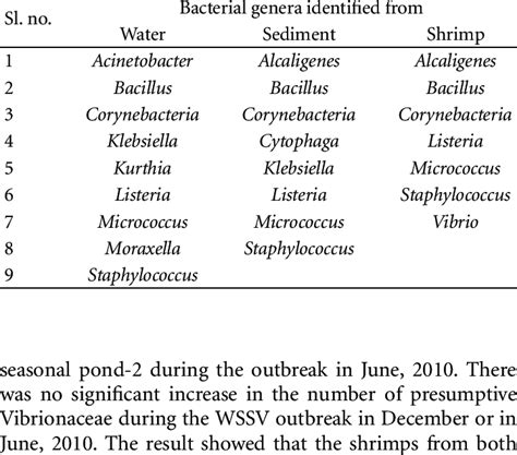 Genera of heterotrophic bacteria identified from water, sediment, and ...