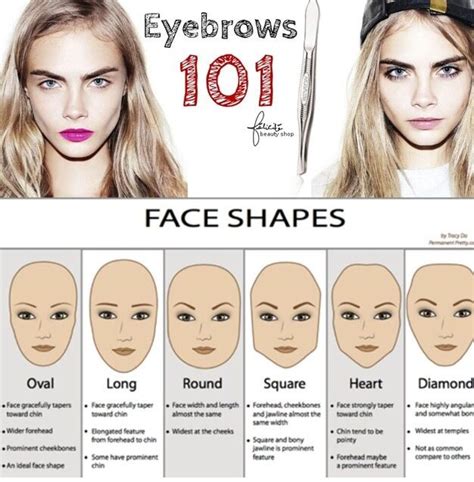 Eyebrows 101 | Face shapes, Eyebrows, Glasses for face shape