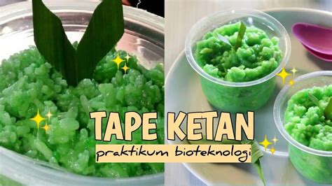 PRAKTIKUM BIOTEKNOLOGI || Pembuatan tape ketan - YouTube