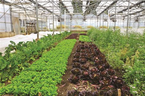 What is a smart greenhouse? | The Drummer and The Wright County Journal Press