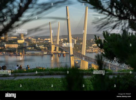 Vladivostok bridge at sunset between trees Stock Photo - Alamy