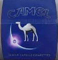 Camel Crush Blue