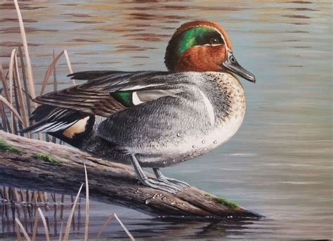 Original Waterfowl Paintings - Paul Makuchal's Art Lake House, Birds ...