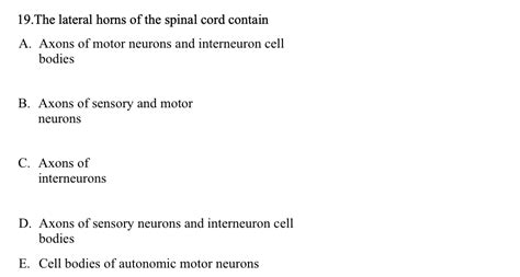 Solved 19.The lateral horns of the spinal cord contain A. | Chegg.com